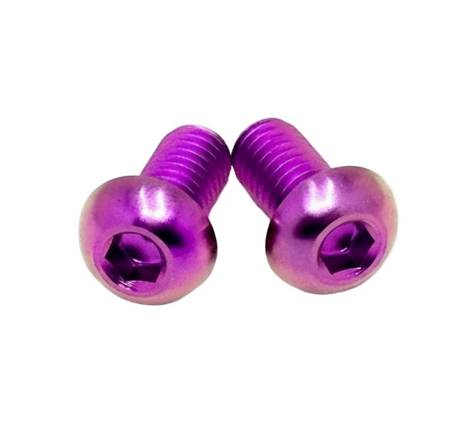 Ultra Bee Dashboard Titanium Bolts (set of 2)